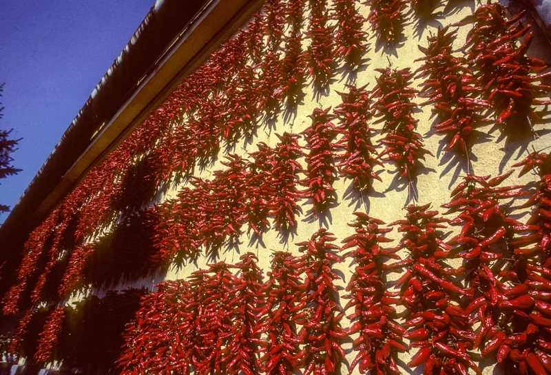 Paprika